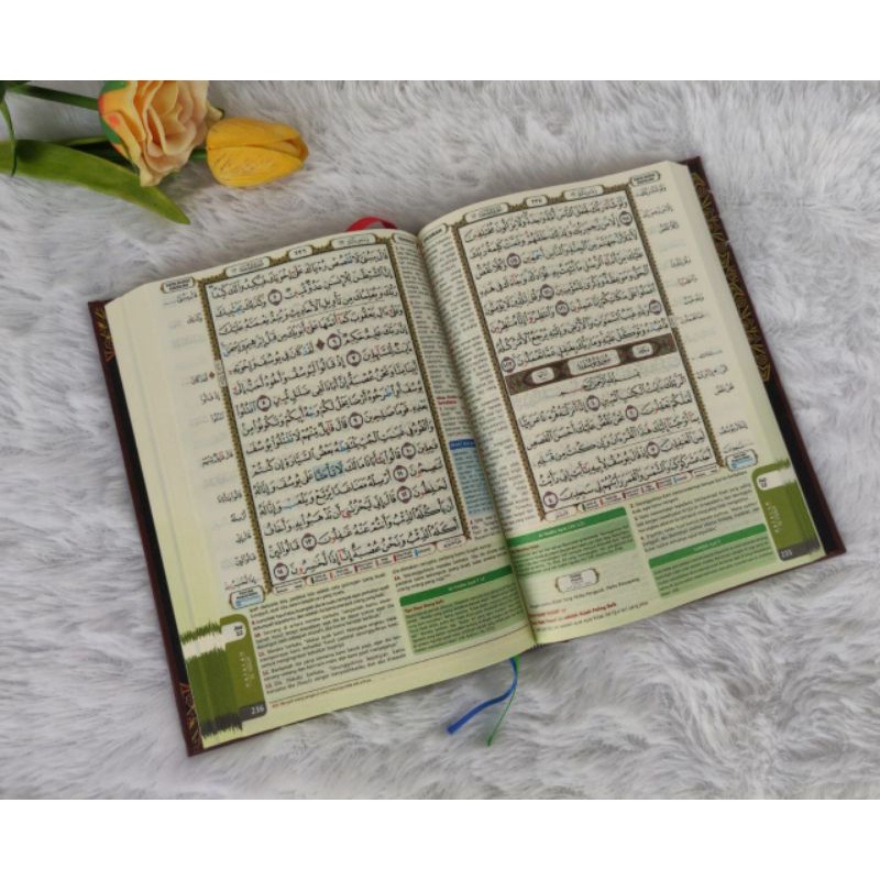 

Al-Qur'an