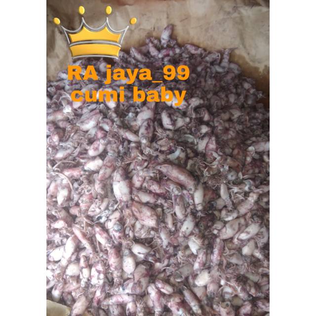 

Ikan Asin Cumi baby / 250 gr (asinnya pas)