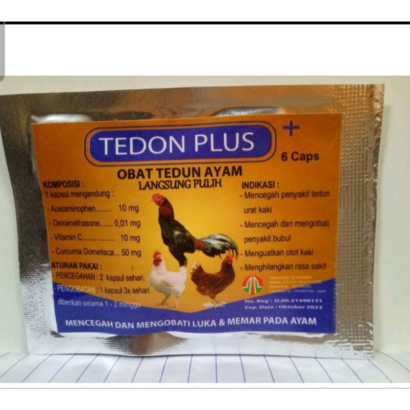 TEDON PLUS TAMA OBAT TEDUN AYAM LANGSUNG PULIH INSTAN ASLI ORI vitamin turun urat saraf herbal kaki beri beri bubul bengkak