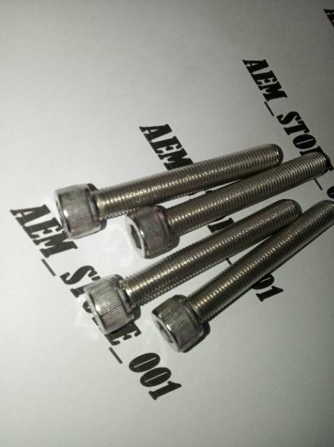 Baut L M10 x 70 (7cm) drat halus 1.25 stainless 304