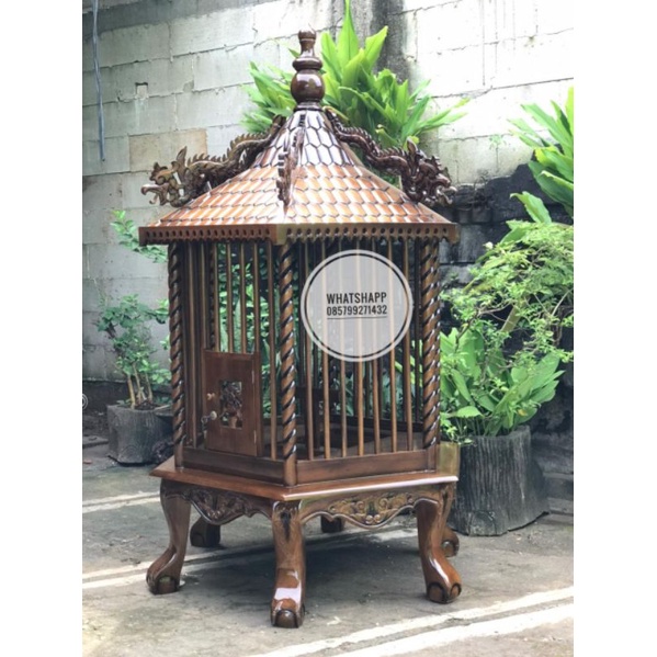 sangkar ayam bekisar, sangkar burung beo