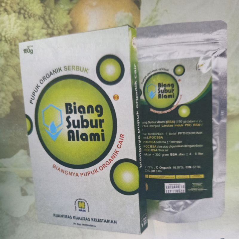 biang subur alami nasa bsa nutrisi perangsang tumbuh nasa