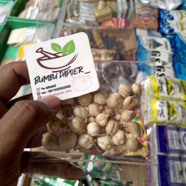 

Kapolaga kualitas baik !