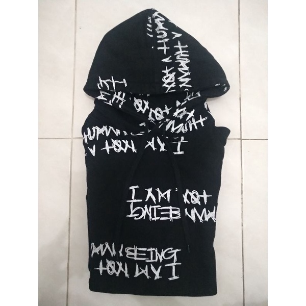 Hoodie I Am Not A Human Being Second