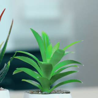 Aonez new! zebra aloe bunga buatan Bunga palsu dengan pot ...