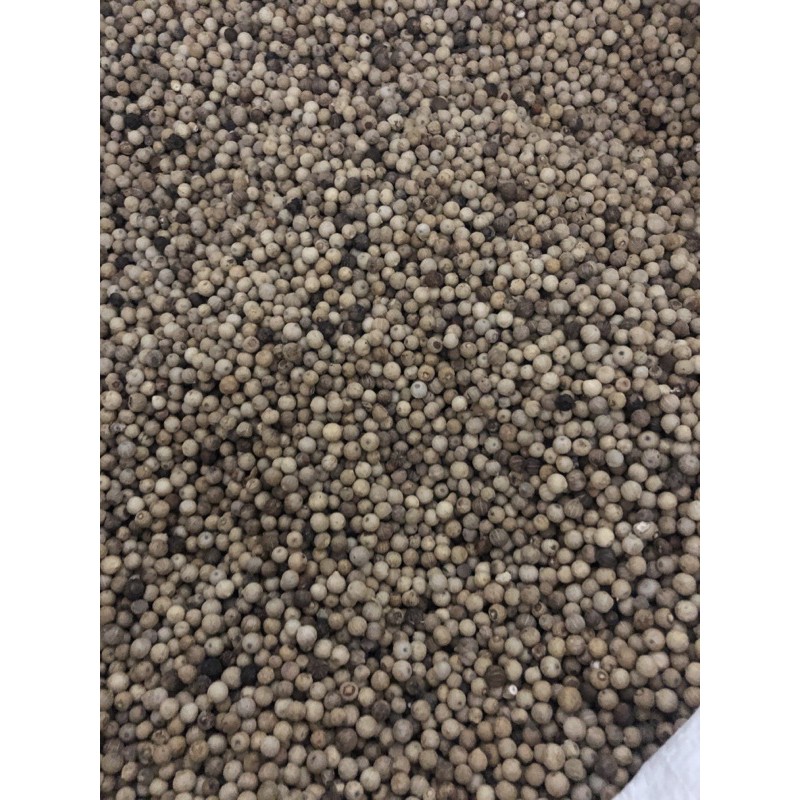 

Lada Biji 1 Kg