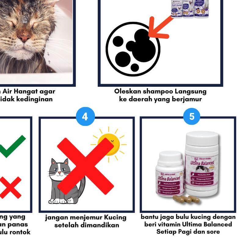 ➩ Dewarangga - Shampoo Anti Jamur - Shampoo Kucing ☆