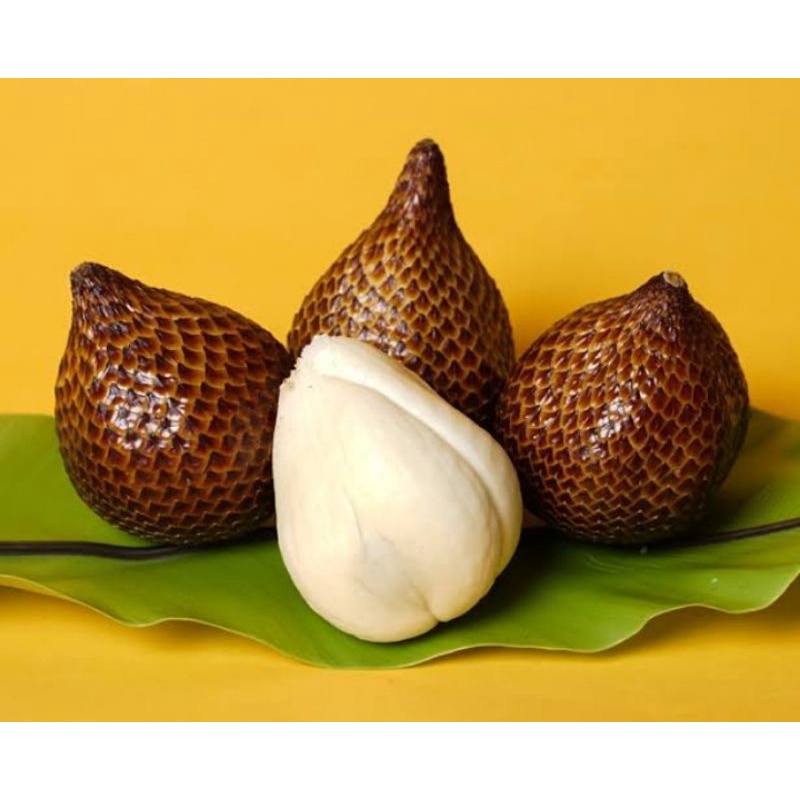 

salak