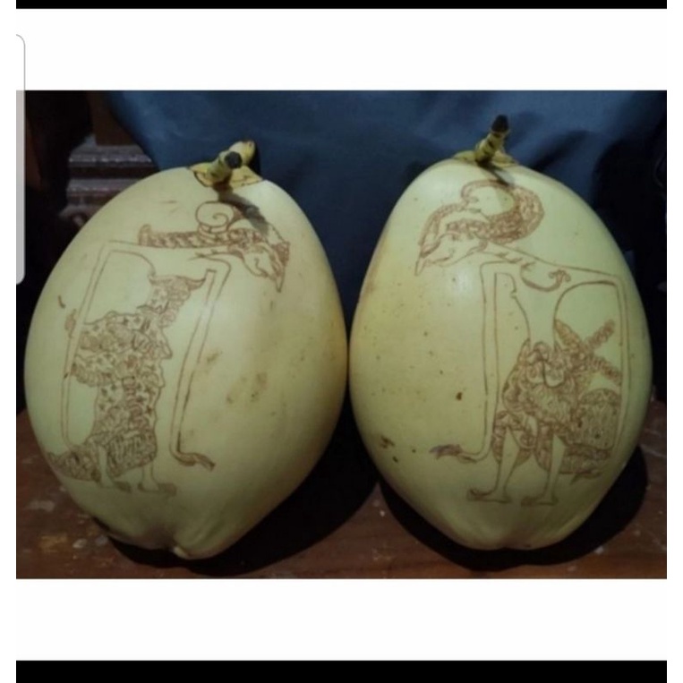 kelapa/cengkir gading lukis bisa request