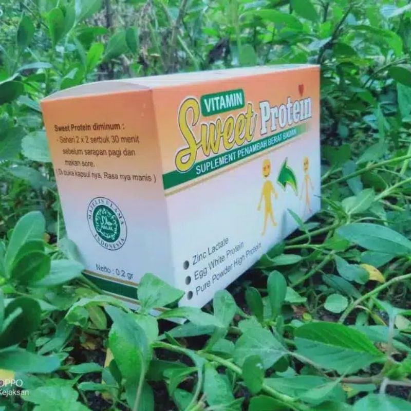 

SWEET PROTEIN INDONESIA (2-4Kg)