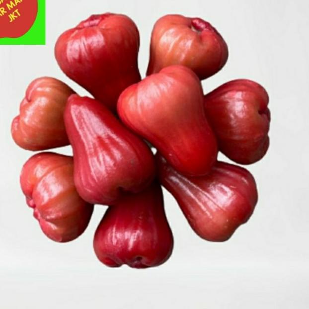 

♛ BUAH JAMBU AIR CITRA MERAH - 1.000 GR ✽