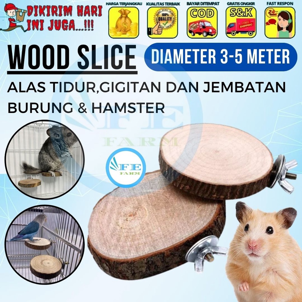 Wooden Coaster Wood Slice Potongan Kayu Decor Alas Burung Hamster FEFARM