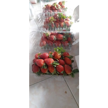 

buah strawberry