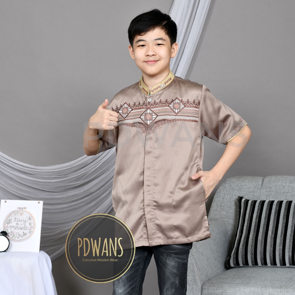 Baju Koko Muslim Anak Remaja Tanggung Lengan Pendek Kemeja Koko Bordir Seri Warna 9 10 11 12 13 14 15 16 Tahun PDWANS - WansTgg01