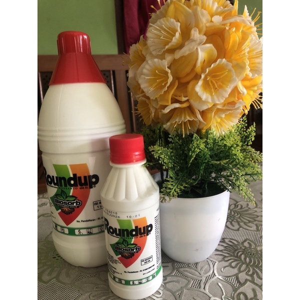 Roundup Obat pembasmi rumput