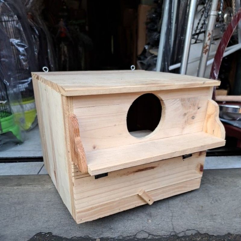 Glodok Murai Palek Nuri kayu