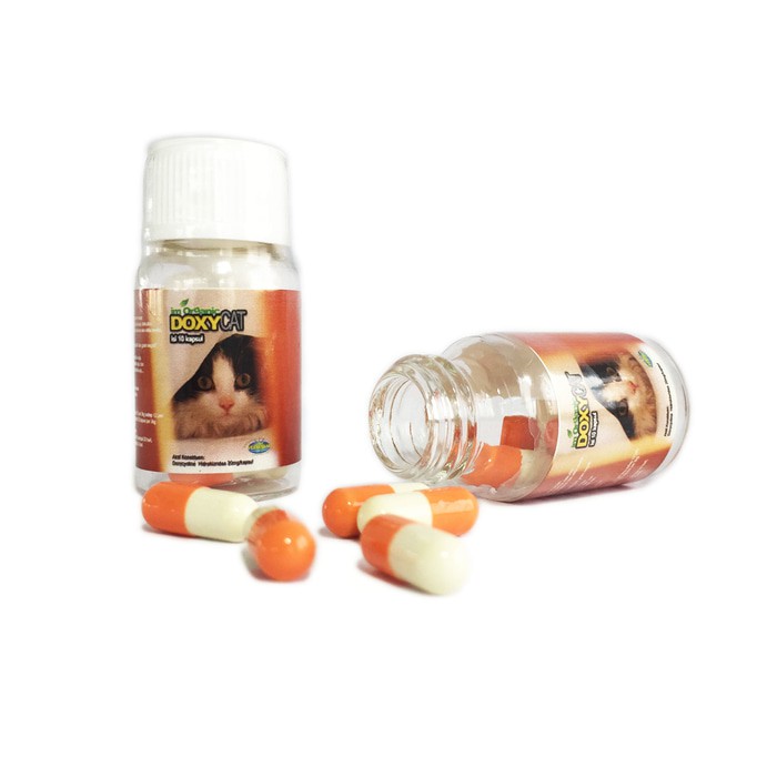 Im Organic IMUNOCAT Doxy Cat DOXYCAT eceran perkapsul