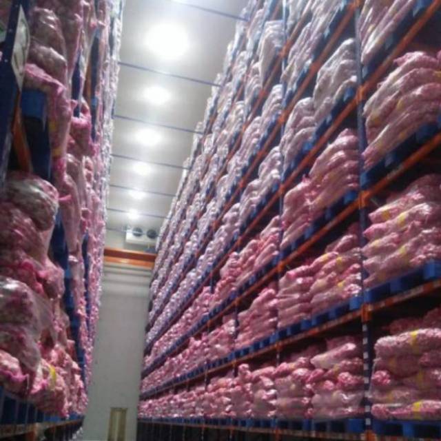 Bawang putih honan bersih 1kg / bawang putih 1kg / bawang honan 1kg