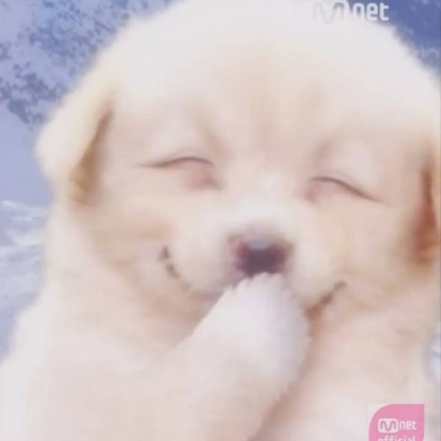 seo_hyeye01
