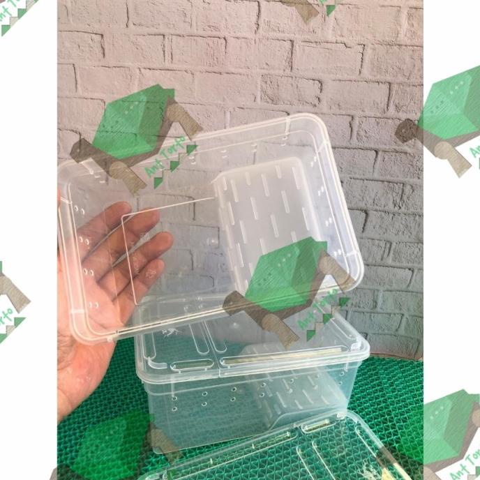TERLARIS NOMOY PLASTIC BOX K3 FROG TURTLE KANDANG KODOK PACMAN KURA AIR BRAZIL NON COD