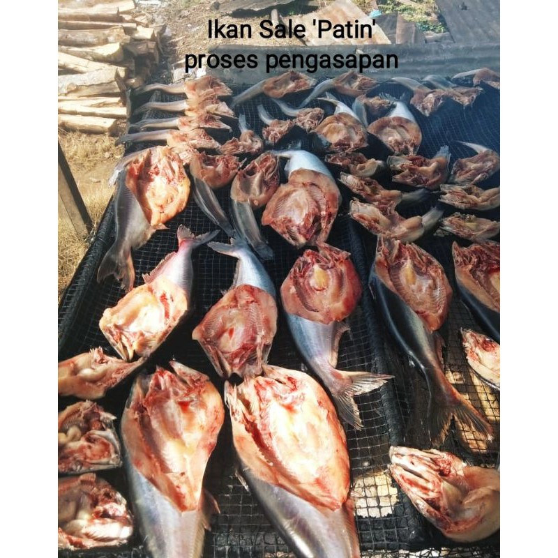 

Ikan Sale (salai) / Ikan Asap jenis air tawar