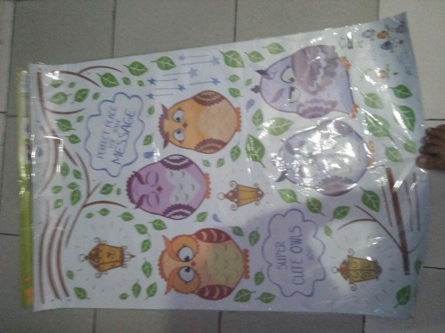 Wall Sticker  Super Cute Owl Jm7265