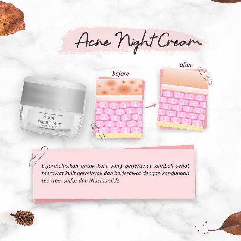 Acne cream ms glow / acne night cream ms glow / cream malam acne / cream malam acne