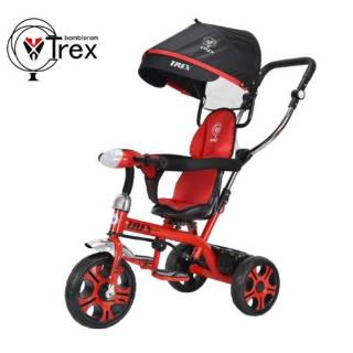  SEPEDA  STROLLER RODA  TIGA  MUSIK ANAK  TREX  TC 3  1 Shopee 