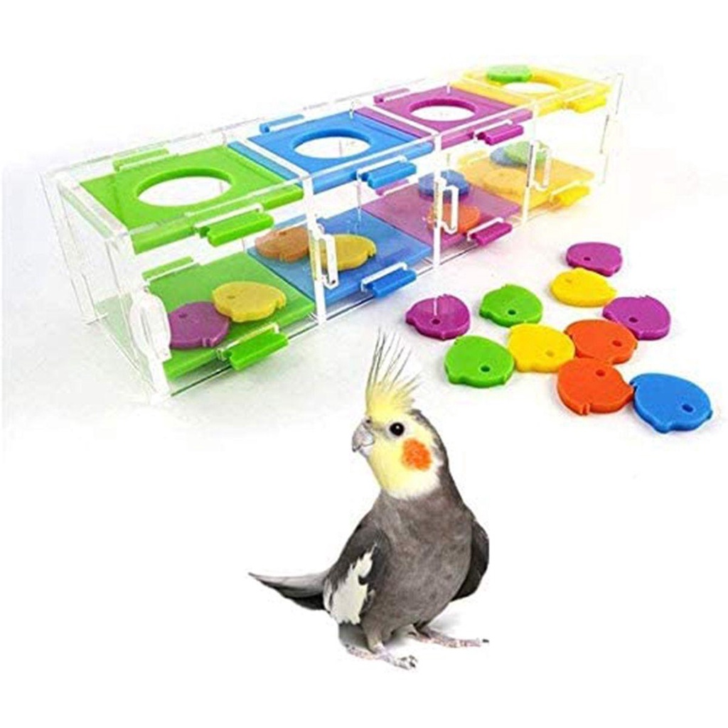 [Elegan] Mainan Burung Cockatiel Finch Training Parkit Edukasi Puzzle Nuri Interaktif