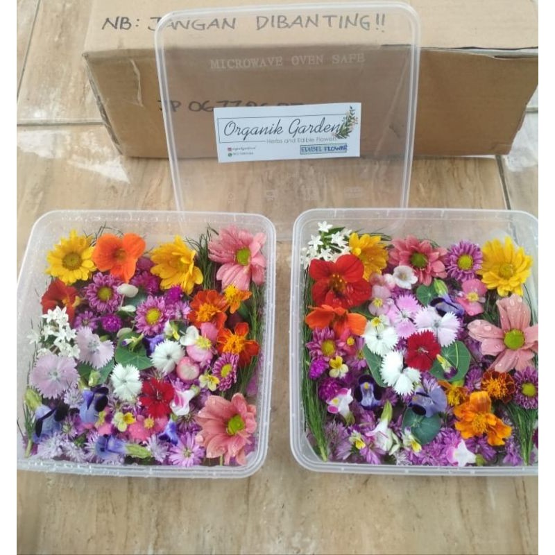 Jual Mix edible flower Indonesia