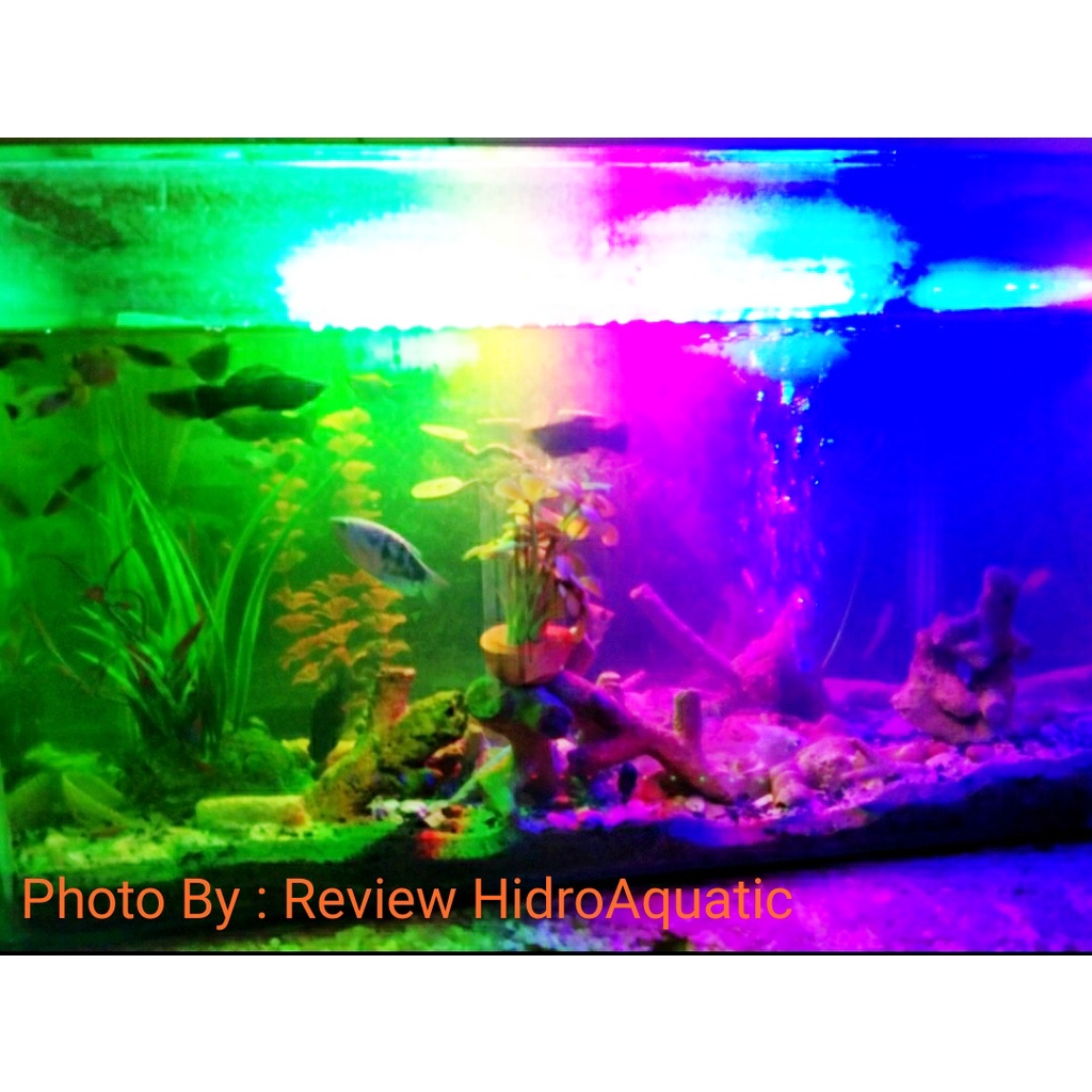 Lampu Aquarium 20cm 3 warna Rgb (red green blue) / Lampu celup aquarium / Lampu led aquarium / Lampu