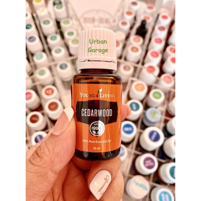 Cedarwood 15Ml Yl Young Living Eo Essential Oil Ylo Store_Floridina