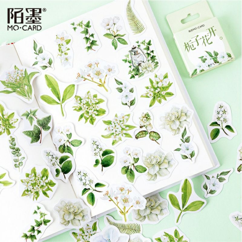 

Stiker journal bujo Tanaman Sticker plants bunga tumbuhan tanaman scrapbook deco dekorasi toploader photocard kpop