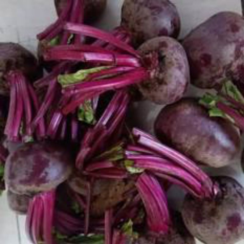 

Buah Bit / Buah bit merah _ 500grm