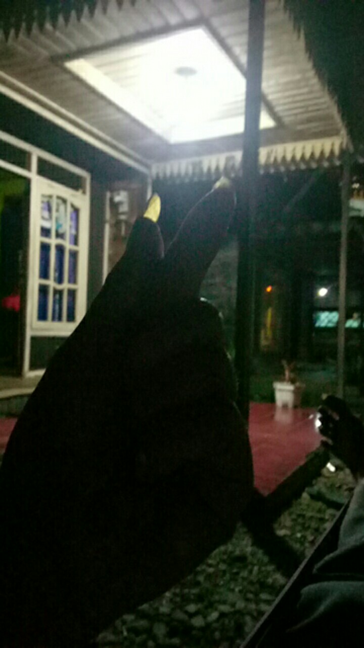 Baju Batik Wanita Modern Monalisa Genes M,l,xl Asli Pekalongan