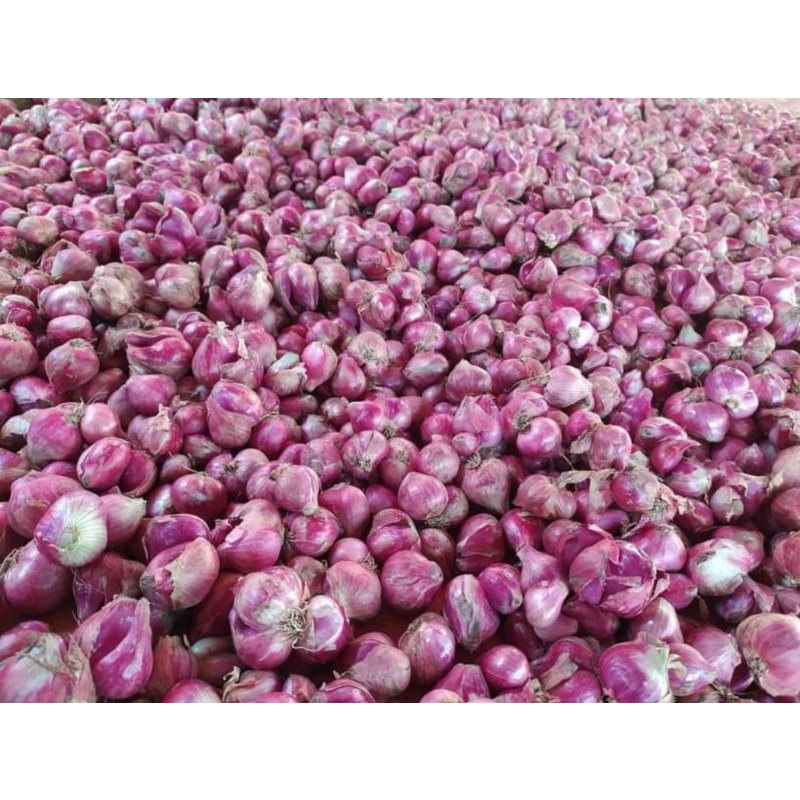 

BAWANG MERAH/500g/BAWANG MERAH SUPER