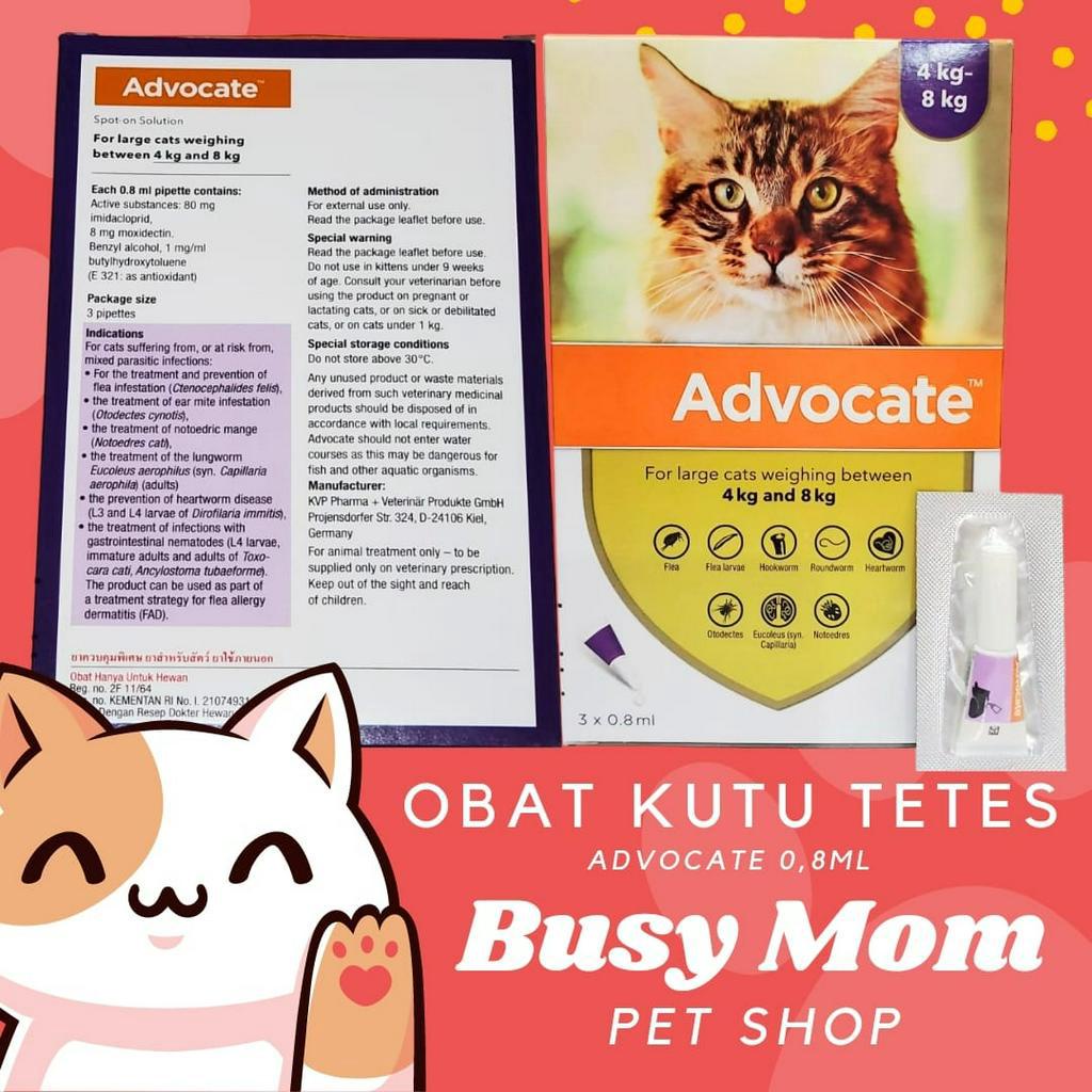 Advocate Obat Kutu Tetes Kucing