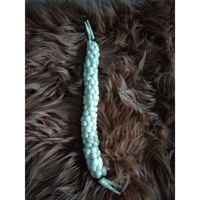 Melati bando keket/bando melati