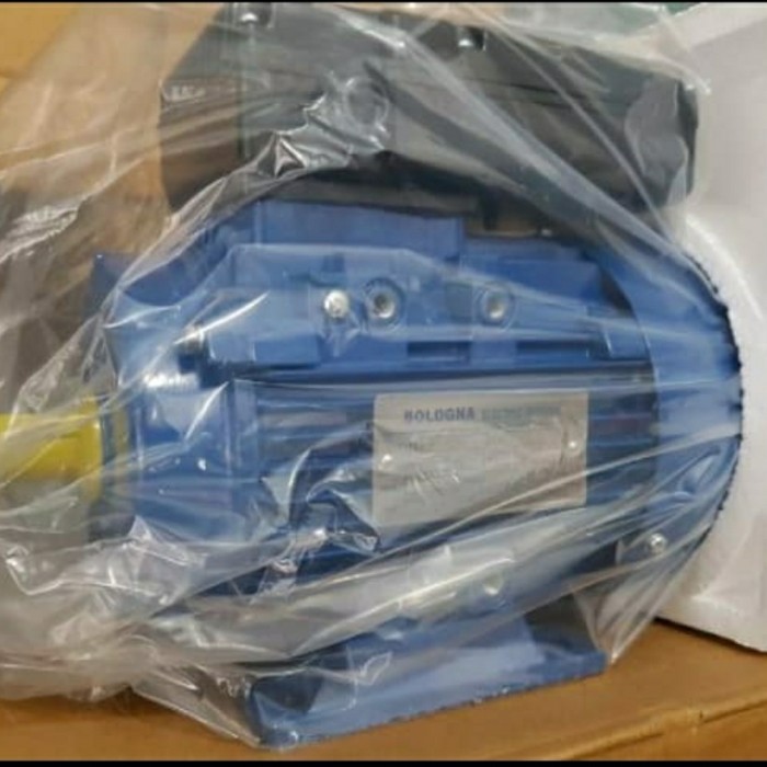 dinamo penggerak bologna 0.5hp 2pole 2800rpm 1 phase