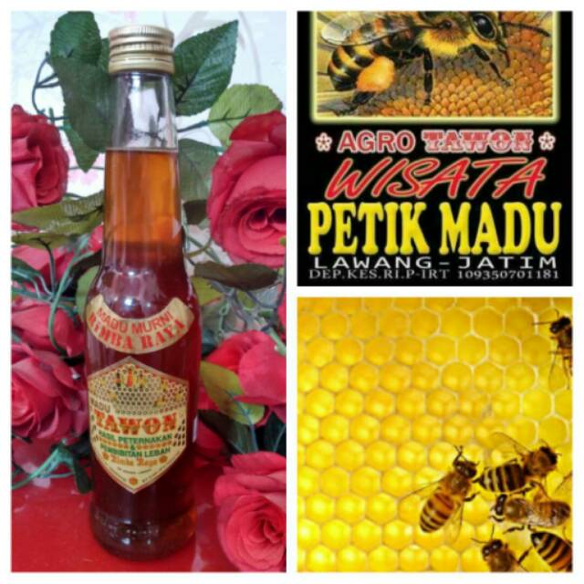 

MADU MURNI BUNGA RANDU TAWON LOKAL 275ml