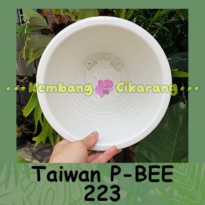 Pot bunga taiwan P BEE 223 mirip tawon putih 22cm bagus tebal murah