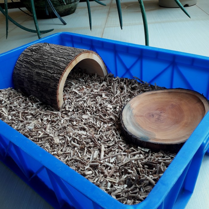 Hiding Cave Reptile Hiding Cave Kayu Asli Hiding Cave Tortoise