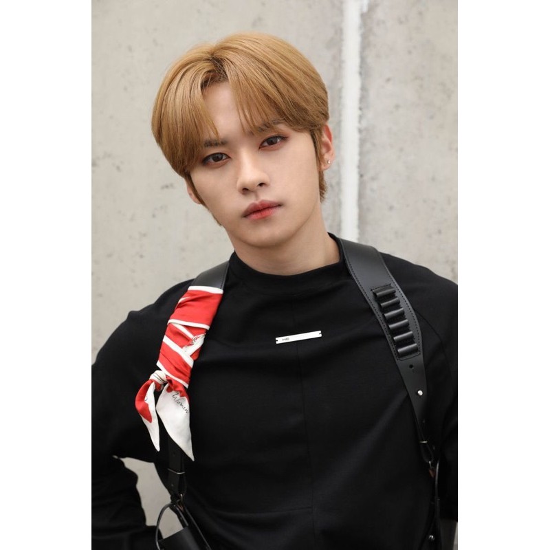 limited frame dan wd standard lee know