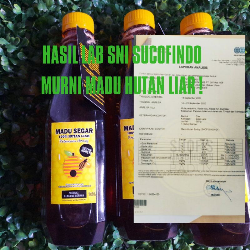 

MADU MURNI SNI SUCOFINDO ! Madu segar || madu hutan liar badui original || madu hutan liar original