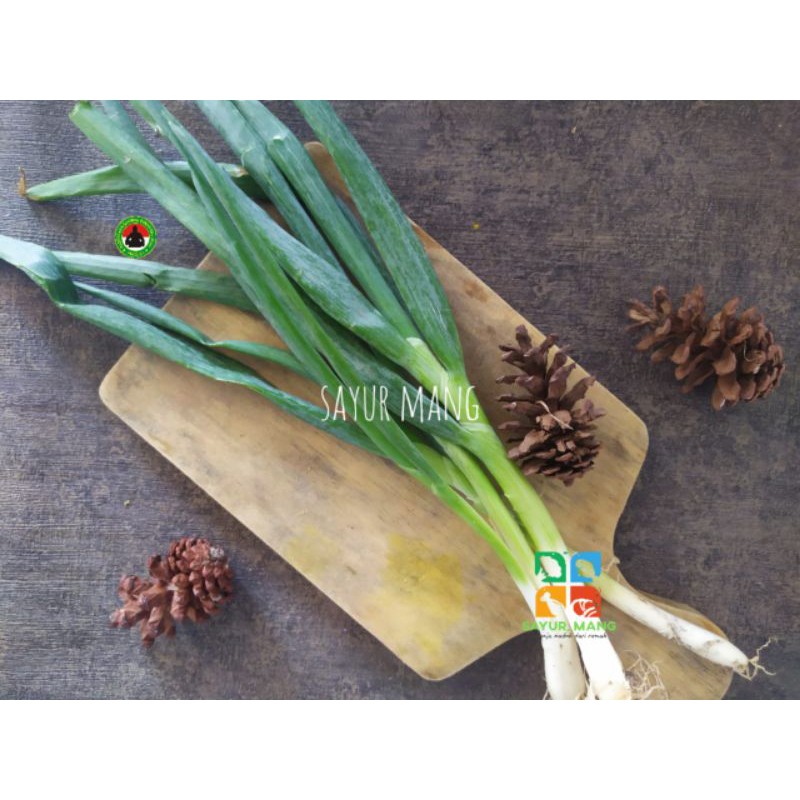 

Daun Bawang I Sayur Mang