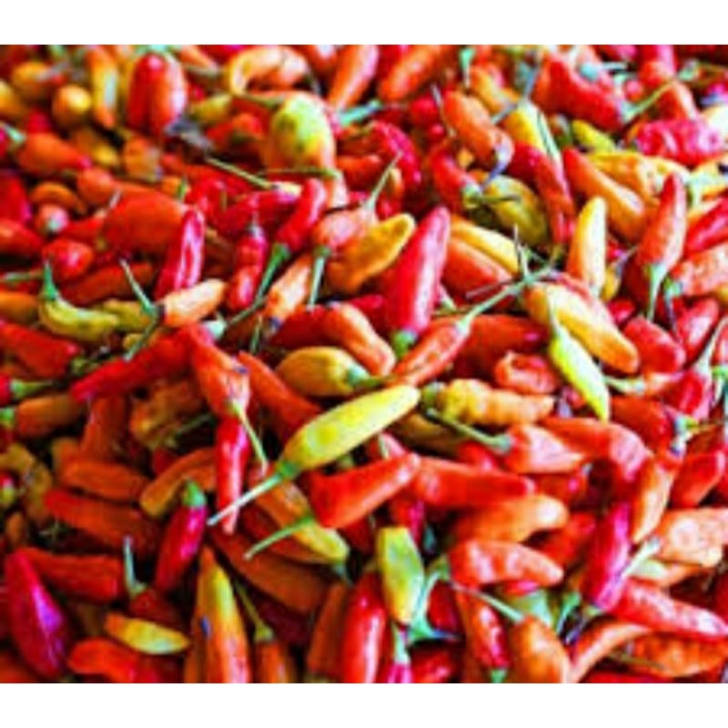 

cabe rawit merah