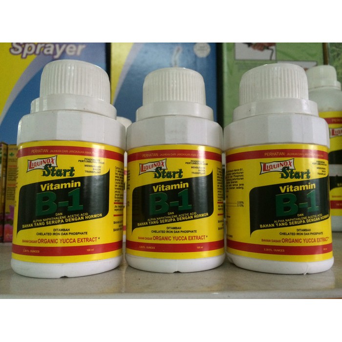 . PUPUK VITAMIN B1 START LIQUINOX 100ML,