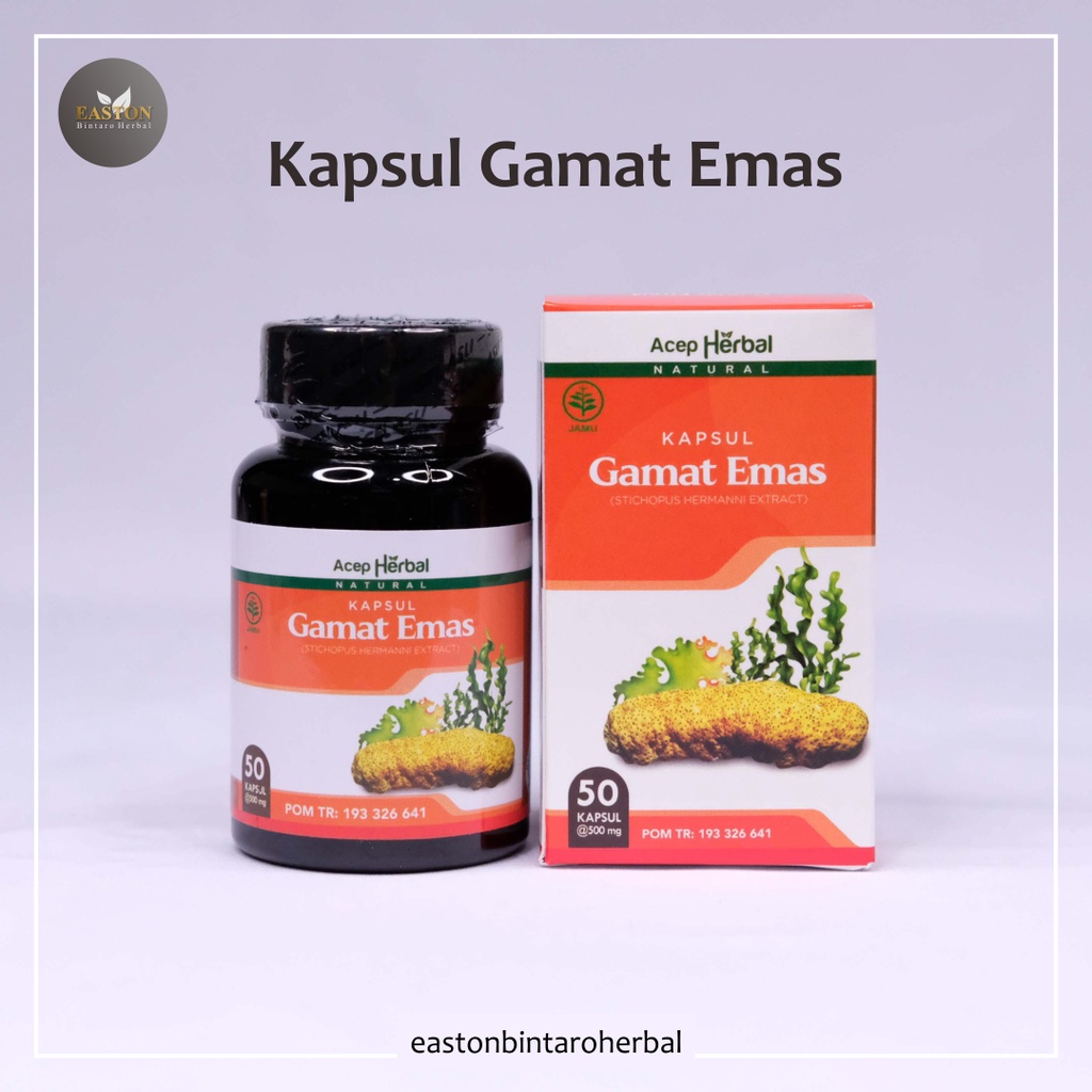 KAPSUL GAMAT EMAS Ekstrak Teripang Laut