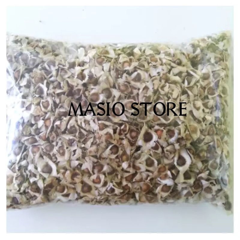 

Biji kelor 100gr
