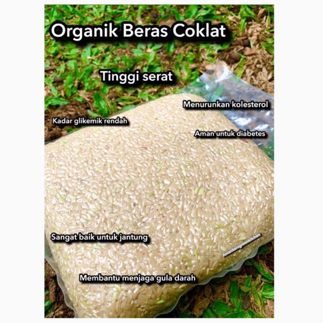 

Beras Cokelat Organik